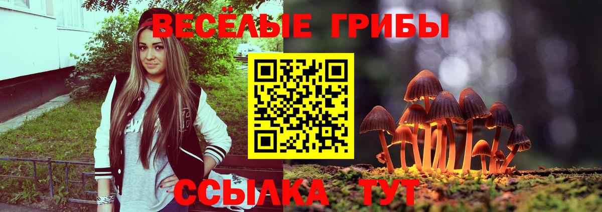 Нижнеудинск  Псилоцибиновые грибы Cubensis  Псилоцибиновые грибы Magic Shrooms  Вход с VPN 